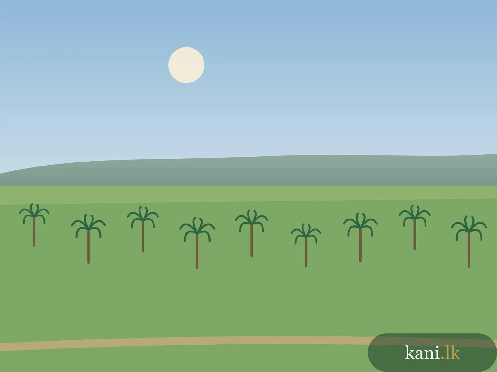 1 acre coconut land at Murunkan, Mannar