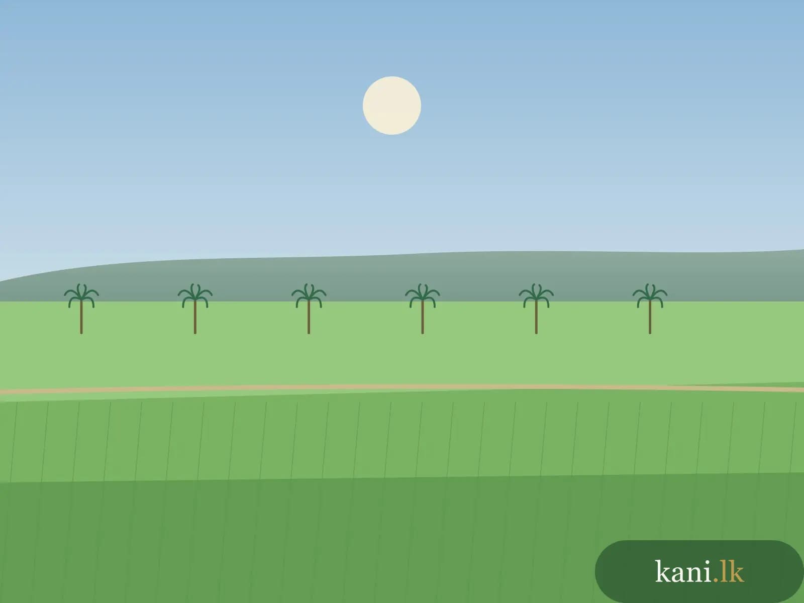 5 acres agricultural land at Oddusuddan, Mullaitivu